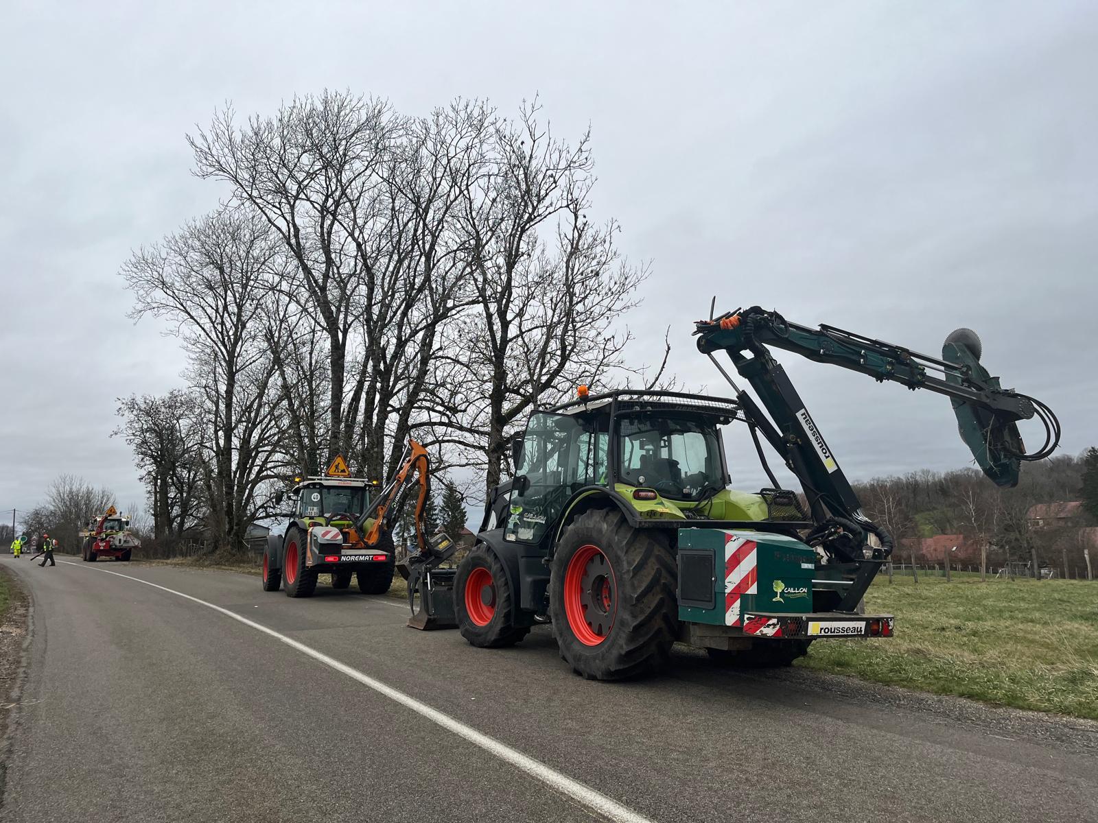 Taille au lamier dans le Jura — SAS POLYVIER